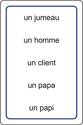 recto d'une carte Mots du jeu Grammi Cat's 4 - Masculin et féminin