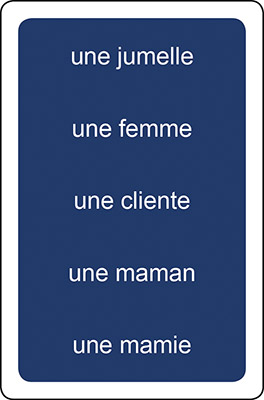 verso de la carte Mots du jeu Grammi Cat's 4 - Masculin et féminin