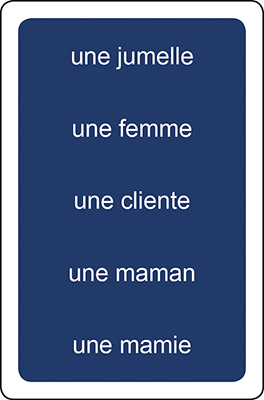 verso de la carte Mots du jeu Grammi Cat's 4 - Masculin et féminin