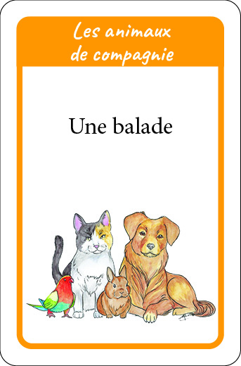 carte Les animaux de compagnie du jeu Gratitude