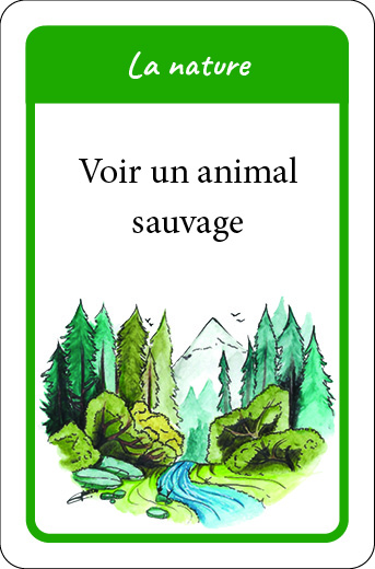 carte La nature du jeu Gratitude