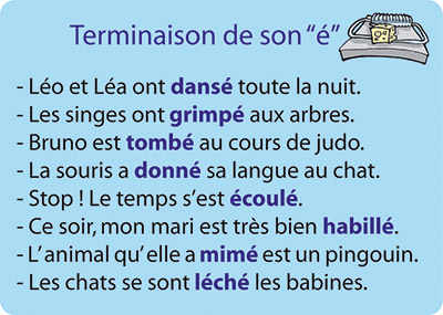 carte Phrases du jeu Ortho Cat's 1 - Les terminaisons