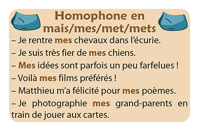 carte Phrases du jeu Ortho Cat's 2 - Les homophones grammaticaux