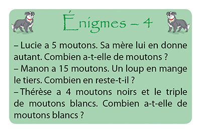  carte Enigmes du jeu Maths et moutons