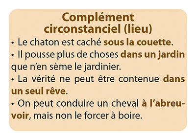 Carte Phrases du jeu Grammi Cat's 2 - Les fonctions grammaticales