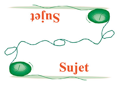 carte Fonction du jeu Grammi Cat's 2 - Les fonctions grammaticales