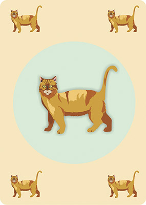 carte Image du jeu English Cats - Les animaux