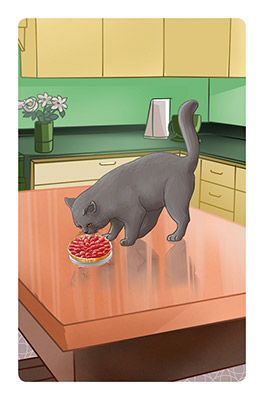 carte Chat du jeu Mathé Cat's 1 - Les fractions