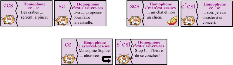 Contenu du jeu Ortho Domino 2 - Les homophones grammaticaux de Cat's Family, sur l'orthographe grammaticale