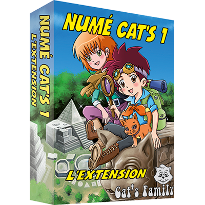 extension du jeu de cartes Numé Cat's 1 sur la résolution de problèmes et le vocabulaire mathématique